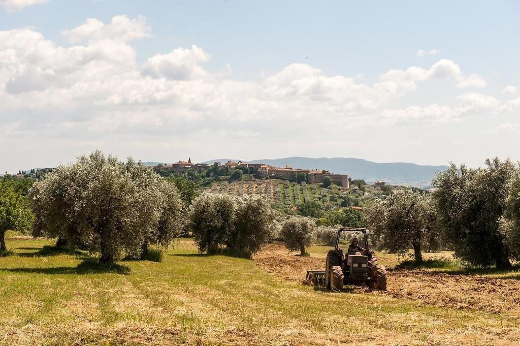Tenuta Campospillo Мальяно-ин-Тоскана Экстерьер фото