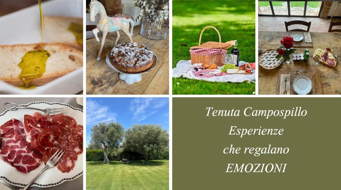 Tenuta Campospillo Мальяно-ин-Тоскана Экстерьер фото